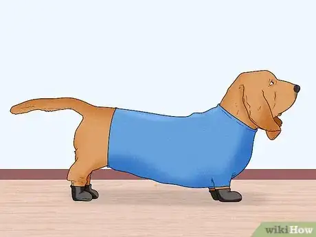 Image titled Choose a Dog Suitable for Your Climate Step 11