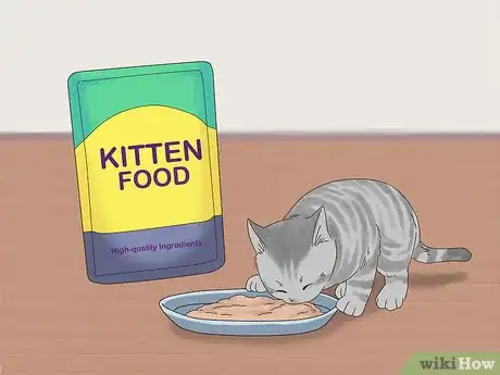 Image titled Find Homes for a Litter of Kittens Step 4