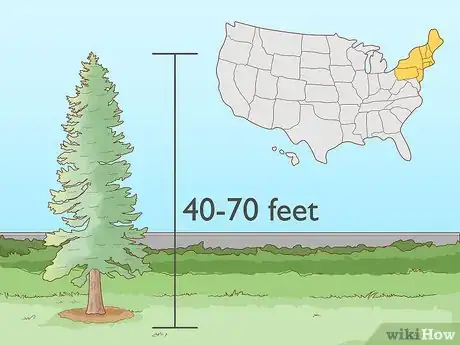 Image titled Start a Tree Farm Step 5
