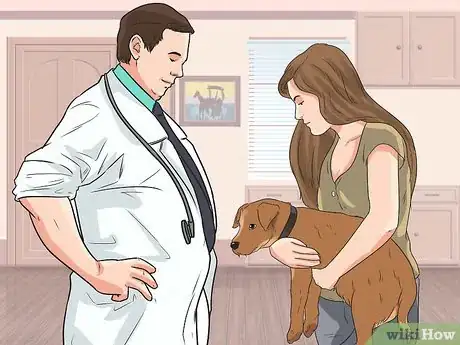 Image titled Prevent Hookworms in Dogs Step 5