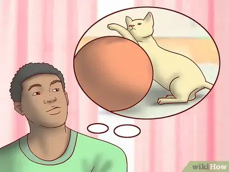 Image titled Include Your Cat in Holiday Celebrations Step 10