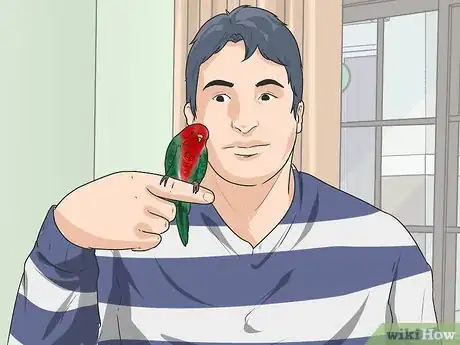 Image titled Recognize Stress in Your Pet Parrot Step 12