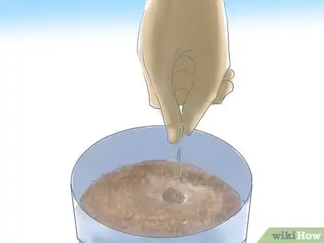 Image titled Grow Butterfly Weed Step 12