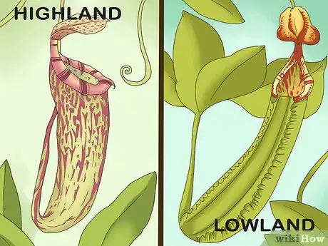 Image titled Care for Nepenthes (Tropical Pitcher Plants) Step 1