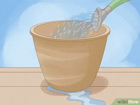 Image titled Force Daffodils Indoors Step 7