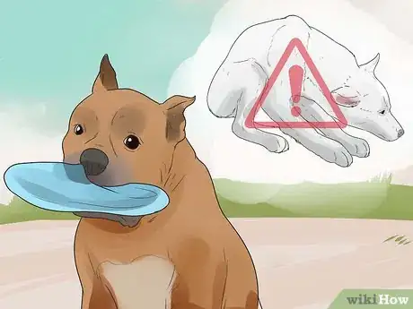 Image titled Stop Your Dog from Chewing Things it Shouldn't Step 1