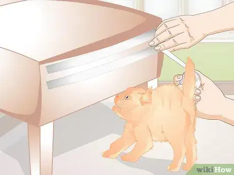 Image titled Find Alternatives to De Clawing Your Cat Step 6