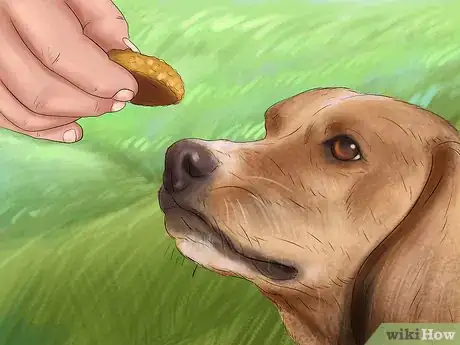 Image titled Stop Your Dog from Barking at the Phone Step 8