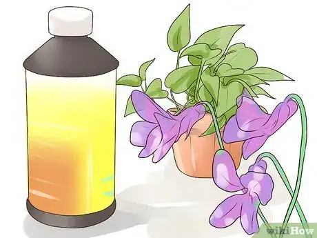 Image titled Control Wild Violets Step 3