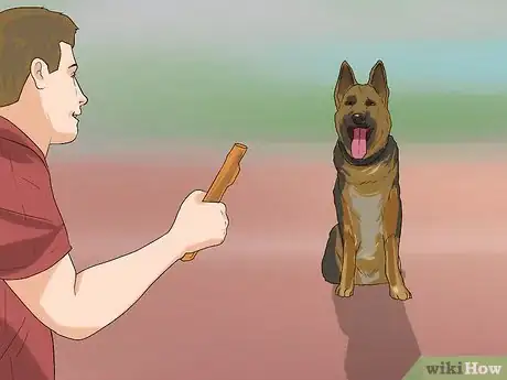 Image titled Have Fun with Your Dog Outdoors Step 5