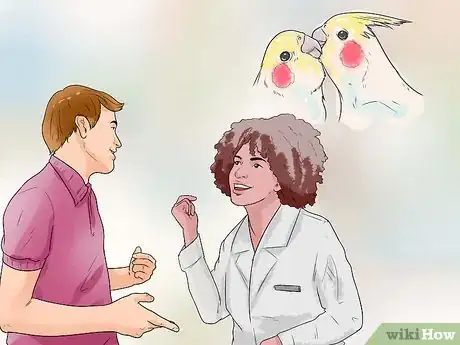Image titled Keep Cockatiels Healthy While Breeding Step 11