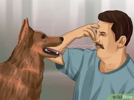 Image titled Tell if Your Dog Is Having a Medical Emergency Step 10