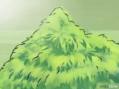 Image titled Prune Spirea Shrubs Step 1