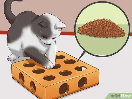 Image titled Keep a Cat from Becoming Fat and Lazy Step 9