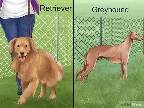 Image titled Know if You Are Ready for a Dog Step 22