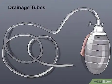 Image titled Treat Aural Hematomas in Dogs Step 5