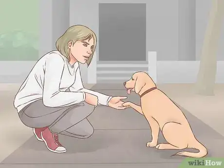 Image titled Choose a Second Dog Step 2