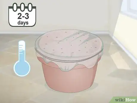 Image titled Make a Grass Pot for Cats Step 4