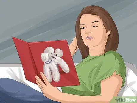 Image titled Select a Toy Poodle Step 3