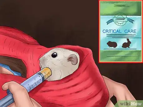 Image titled Treat Tumors in Hamsters Step 9