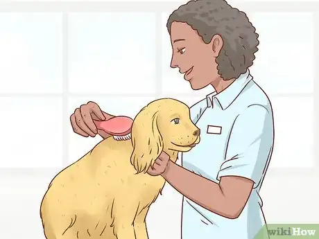 Image titled Become an Equine Veterinarian Step 2