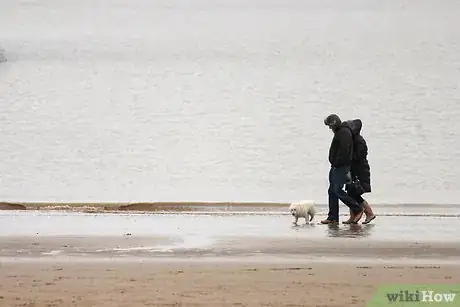 Image titled Become a Happy Positive Person and Ignore the Haters Step 4