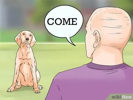 Image titled Enhance Your Dog's Recall Step 4