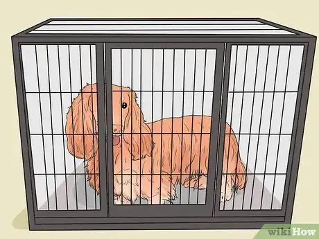 Image titled Keep Your Dog from Being Exposed to Household Poisons Step 13
