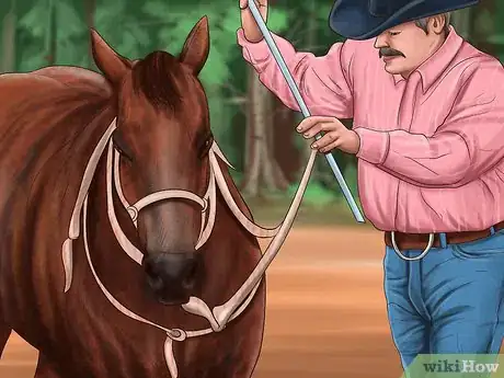 Image titled Teach Your Horse to Piaffe Step 6