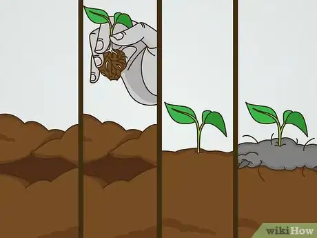 Image titled Grow Vegetables in the Midwest Step 12