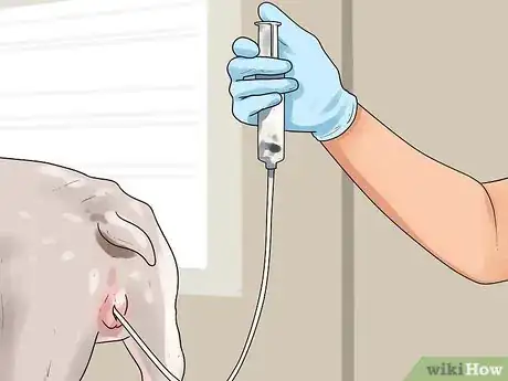 Image titled Get Dogs to Mate Step 15