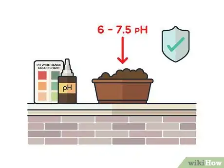 Image titled Grow Mint Indoors Step 6