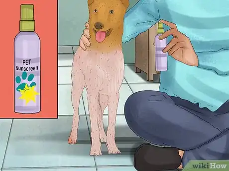 Image titled Take Pets on Beach Vacations Step 14