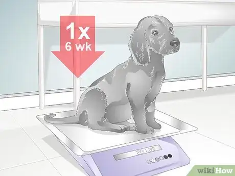 Image titled Choose Healthy Treats for a Senior Dog Step 12