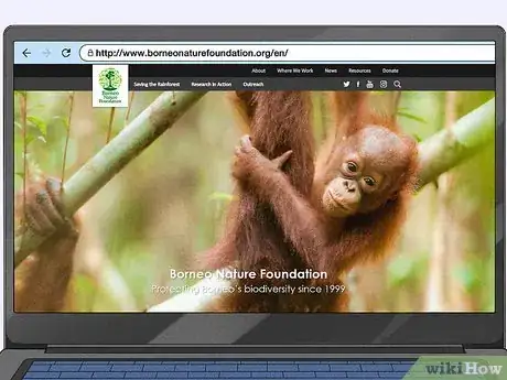 Image titled Help Save Orangutans Step 3