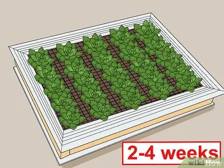 Image titled Plant a Living Picture with Plants Step 9