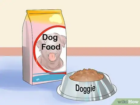 Image titled Keep Your Dog Comfortable Outdoors Step 7