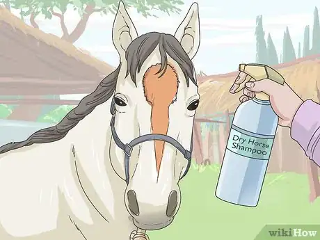 Image titled Clean a Horse Step 17