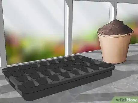 Image titled Grow Gaura Step 1