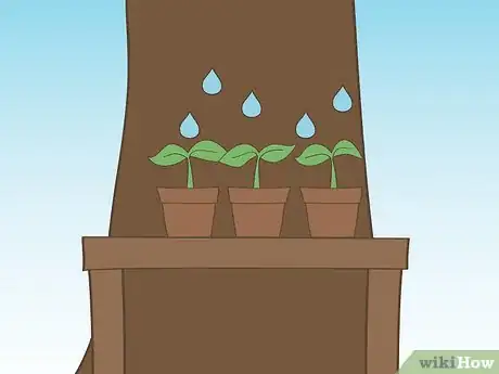 Image titled Harden Off Seedlings Step 8