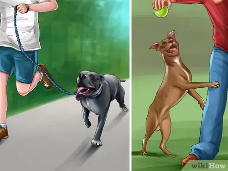 Image titled Decide if a Pit Bull Is Right for You Step 5