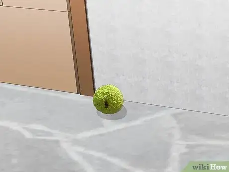 Image titled Get Rid of Spiders Outside Your Door Step 10