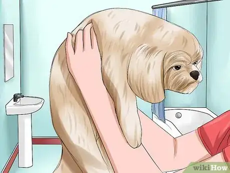 Image titled Bathe a Shih Tzu Puppy Step 5