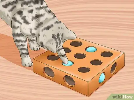 Image titled Care for Egyptian Maus Step 16