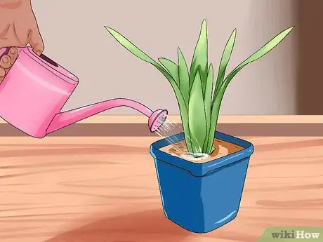 Image titled Water Plants While You're Away Step 7