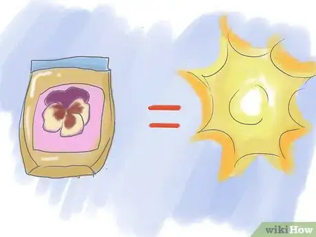 Image titled Plant Pansies in Containers and Pots Step 7