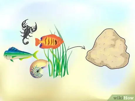 Image titled Learn About Sedimentary Rocks Step 2Bullet3