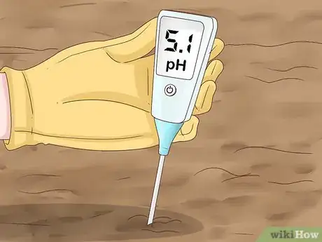 Image titled Grow Cinnamon Step 4