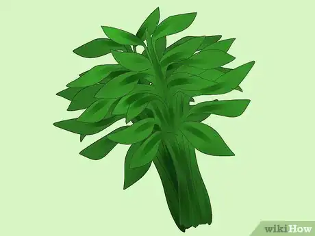 Image titled Make a Smudge Stick Step 3