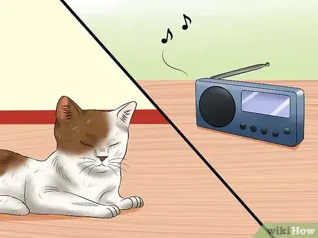 Image titled Socialise Timid Kittens Step 3